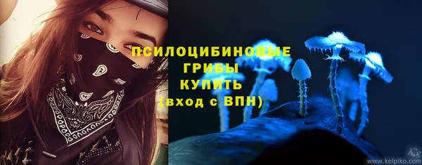 apvp Магас