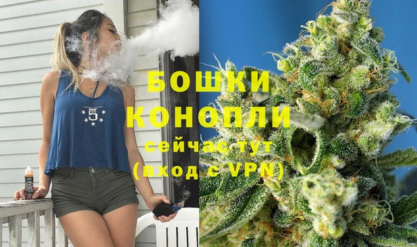 стаф Шали