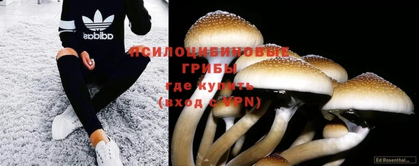 герыч Майский