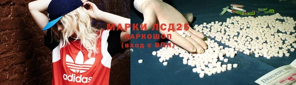 apvp Магас