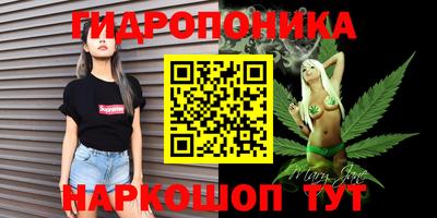 эйфоретик Моздок