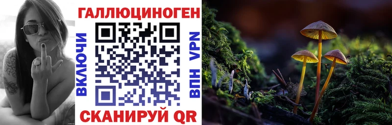 Псилоцибиновые грибы Cubensis  наркошоп  Ревда 