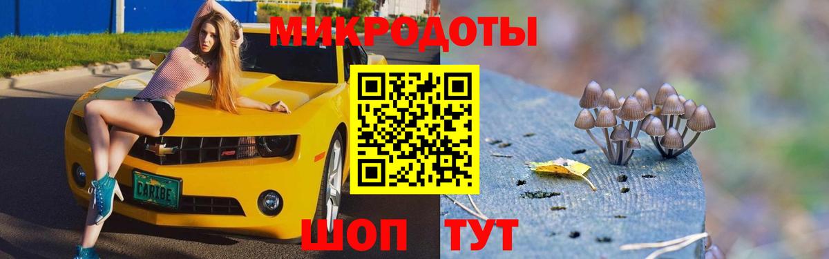 Псилоцибиновые грибы мухоморы  Вход с VPN  Ревда  Галлюциногенные грибы GOLDEN TEACHER 
